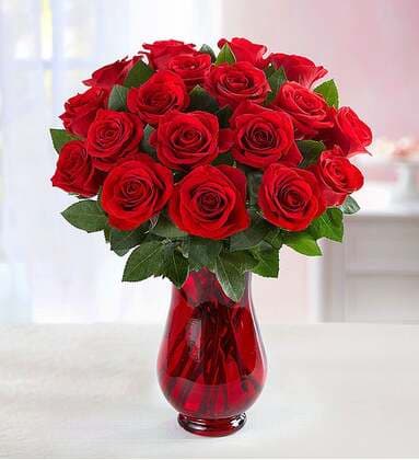 18 Red Roses in a Red Vase
