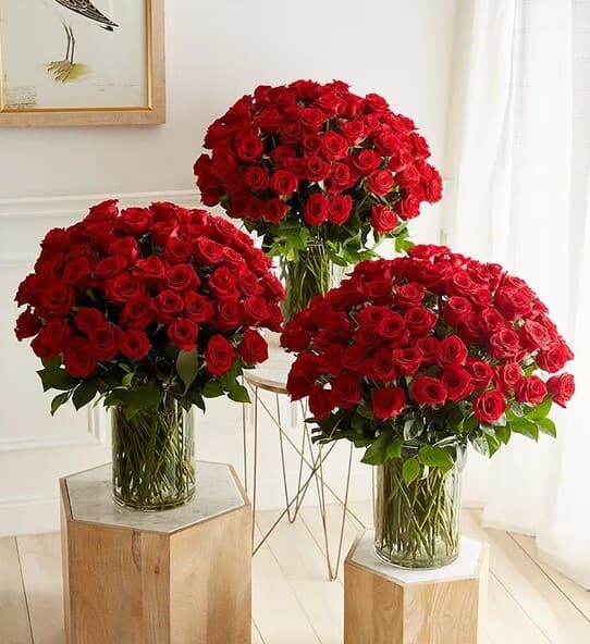 Premium Passion 300 Long Stem Red Roses