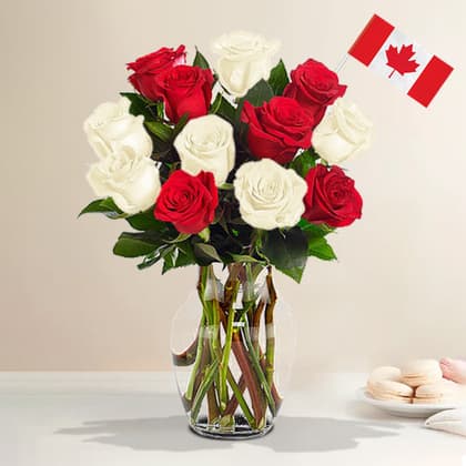 Dozen Red and White Roses in a Vase with Canada Flag