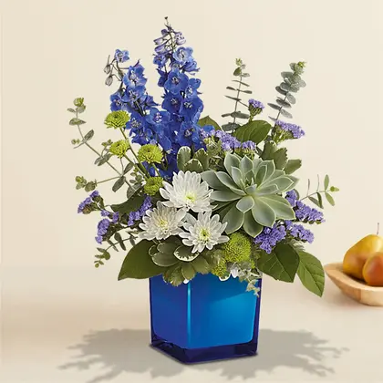 Men's Appreciation Succulent with Flowers