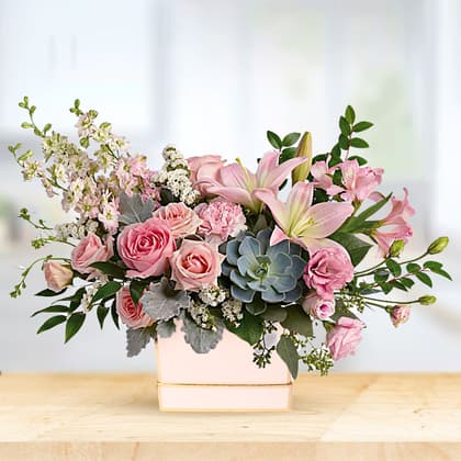 Blushing Succulent Flower Box