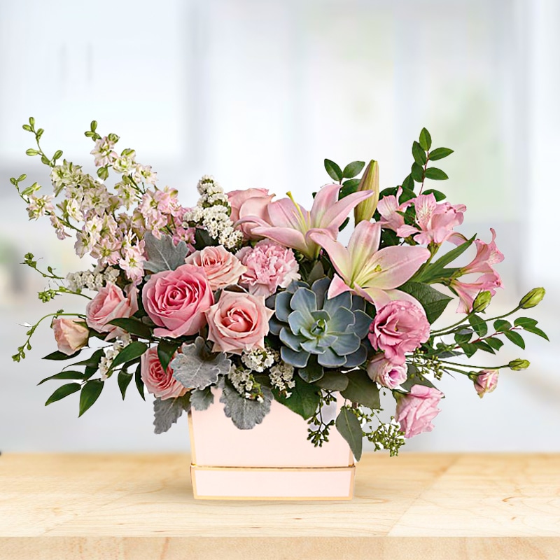 Blushing Succulent Flower Box
