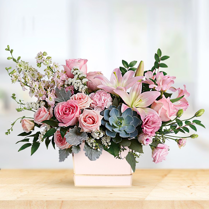Blushing Succulent Flower Box
