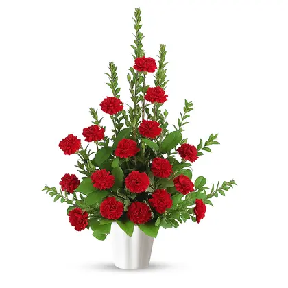 Red Carnation Funeral Floor Basket