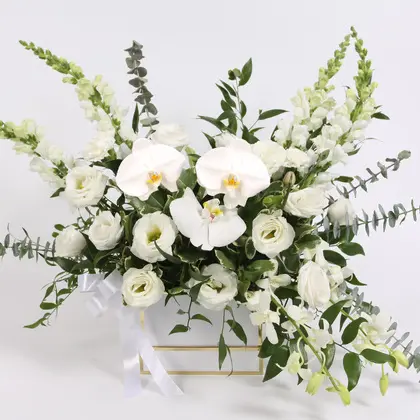 Elegant White Orchids Sympathy Flower Box