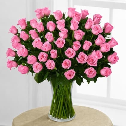 50 Pink Roses in a Vase