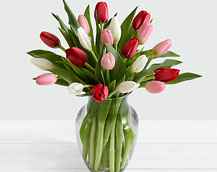 Your Trusted Florist for Same-Day Flower Delivery in Toronto & the GTA