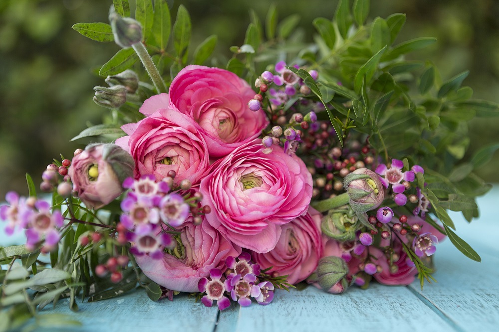 Same day Fresh Flowers Delivery in Toronto 416Flowers