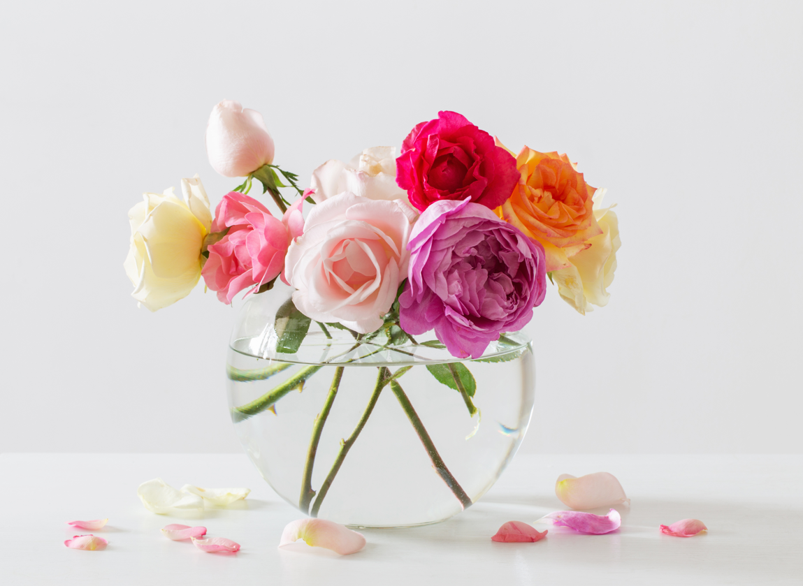 colourful roses in a vase