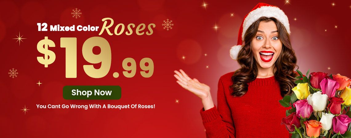 christmas mixed colour dozen roses