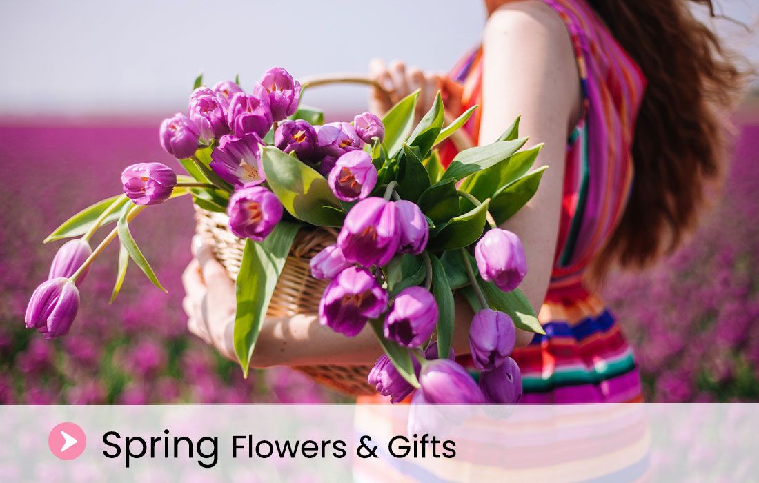 best spring flowers delivery Toronto
