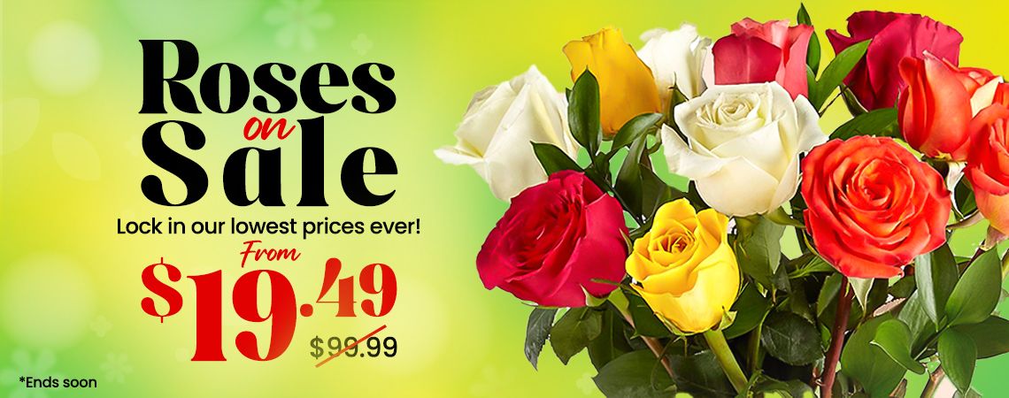 dozen roses fower delivery