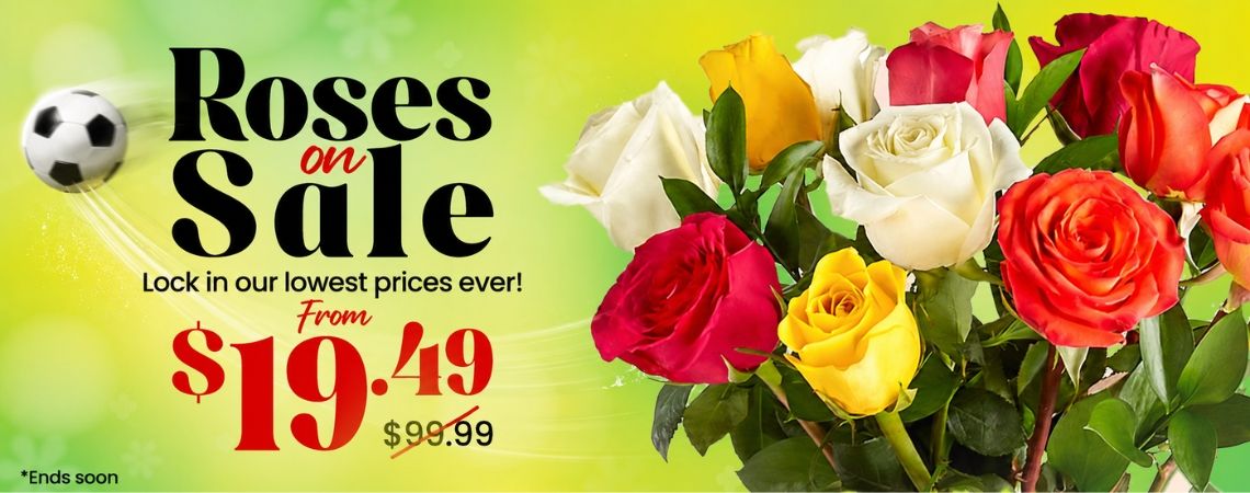 dozen roses fower delivery