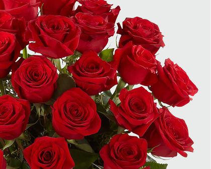 Long Stems Red Rose Vase Arrangement