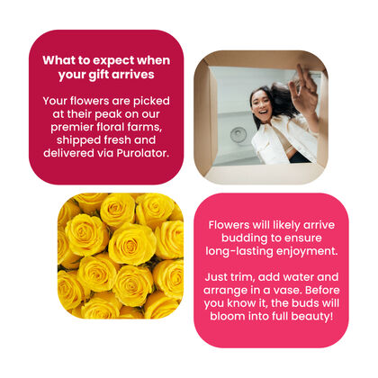 Premium Yellow Roses Bouquet by FTD