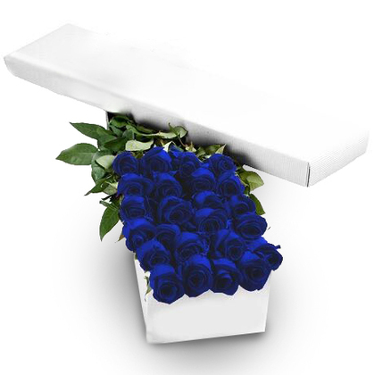 Extreme Blue Rose Bouquet