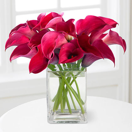 Bold Beauty Calla Lily Bouquet