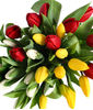 20 Tulips, no Vase