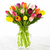 20 Tulips with Vase