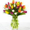 30 Tulips with Vase