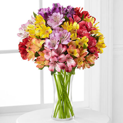 Pick Me Up Rainbow Alstroemeria Bouquet