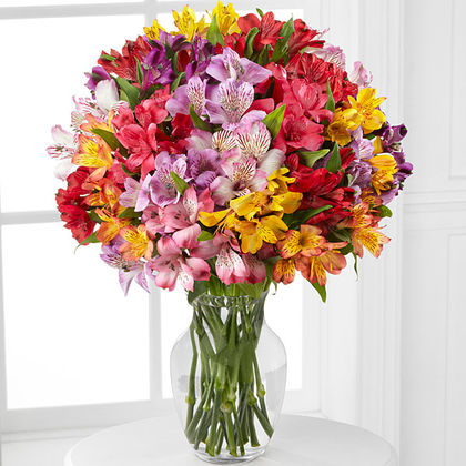 Pick Me Up Rainbow Alstroemeria Bouquet