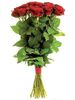 12 70CM Red Roses
