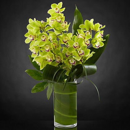 Vision Luxury Orchid Bouquet