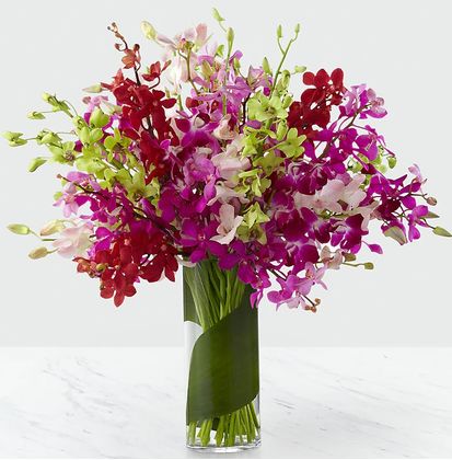 Luminous Luxury Orchid Bouquet