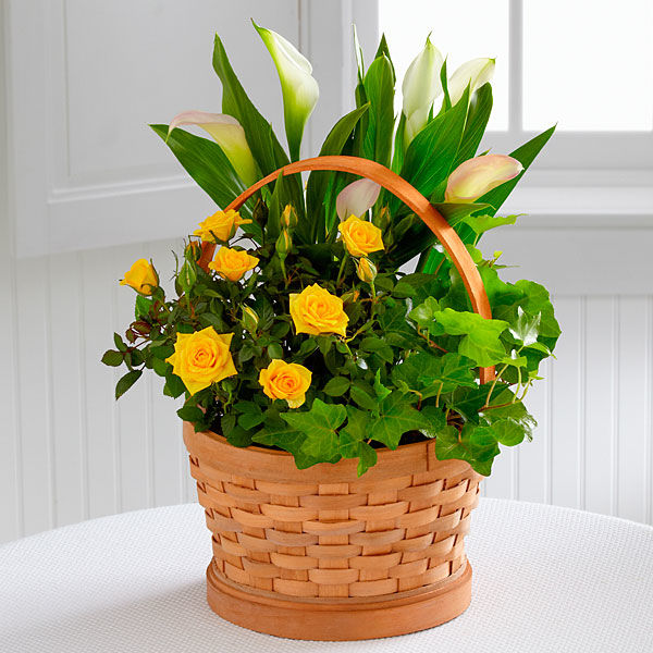 The FTD Cheerful Wishes Blooming Basket by Better Homes