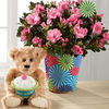 Pinwheel Party Happy Birthday Azalea with Plush Bear