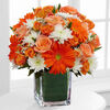 The Color Your Day With Laughter Bouquet by FTD a5070