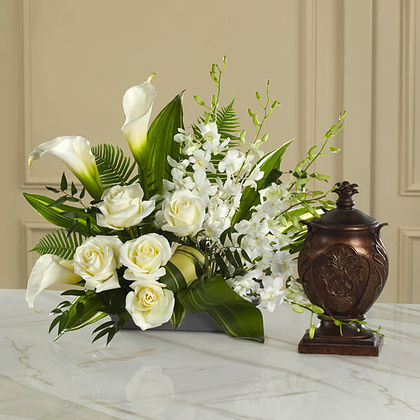 The FTD At Peace Arrangement