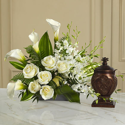 The FTD At Peace Arrangement