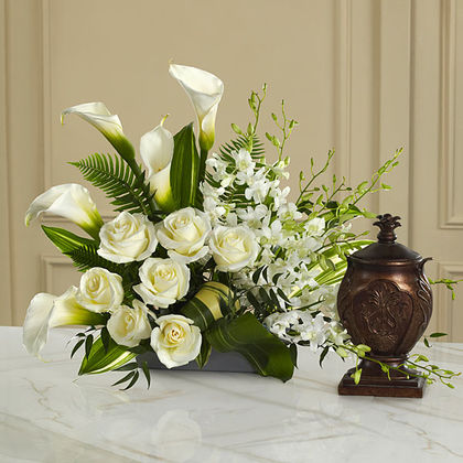 The FTD At Peace Arrangement