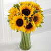 10 Sunflowers with Vase