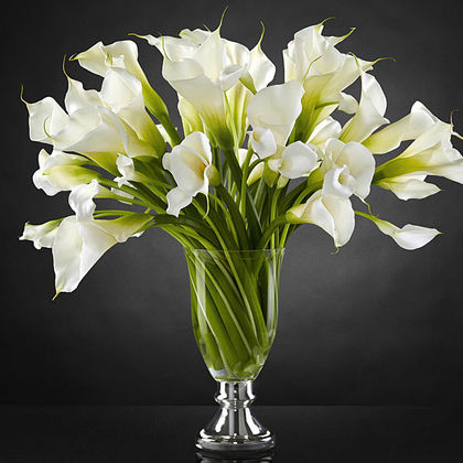 FTD Musings Luxury Calla Lily Bouquet