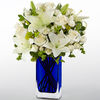 Bountiful Blooms