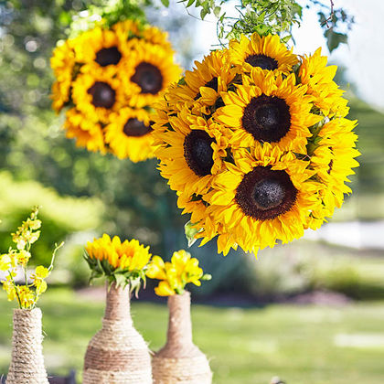 The FTD Sublime Garden Hanging Arrangement