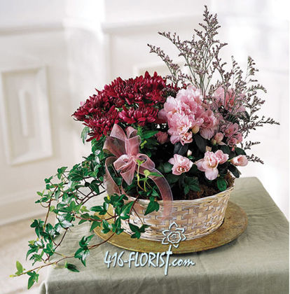 Mum Planter Basket