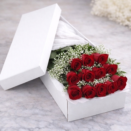 Dozen Premium Red Roses with Baby's Breath