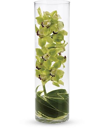 Teleflora Zensational Cymbidium Orchid
