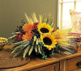 Sunflower Harvest