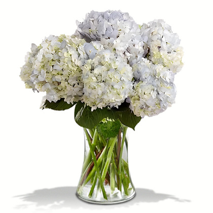 Blue Hydrangea Arrangement