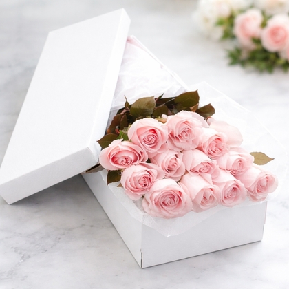 Dozen Premium Pink Long Stem Roses Boxed