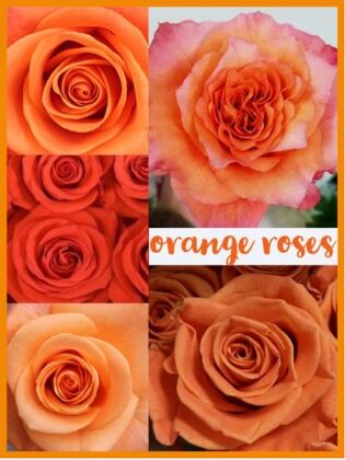 50 Orange Roses Bouquet