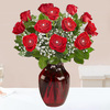 12 Red Roses with baby's breath-Red Vase