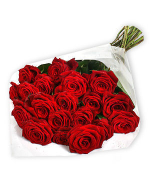 24 Red Roses