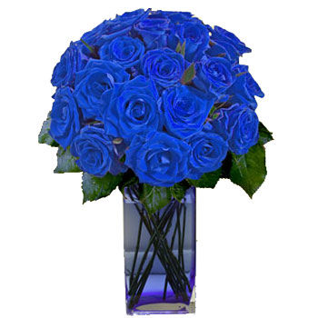 21 Blue Roses In a Vase