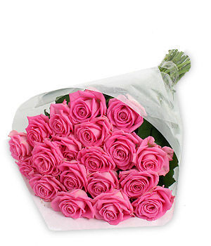 20 Pink Roses